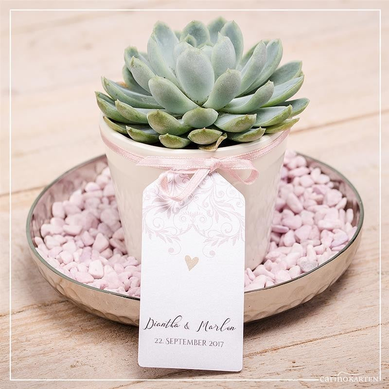 Übertopf CREME für 6cm Sukkulenten