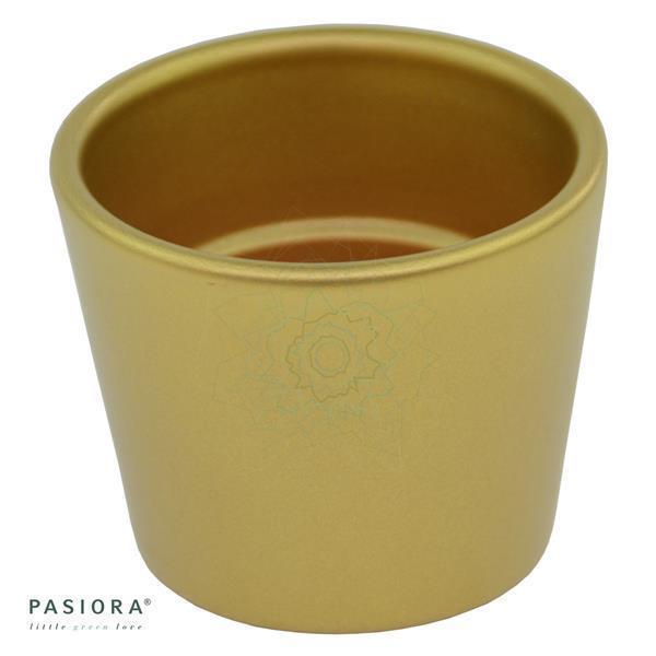 Übertopf GOLD für 6cm Sukkulenten