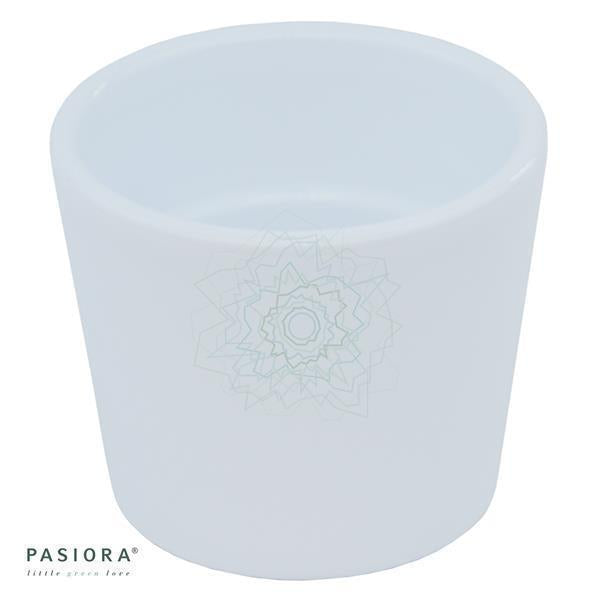 Übertopf WEIß für 6cm Sukkulenten