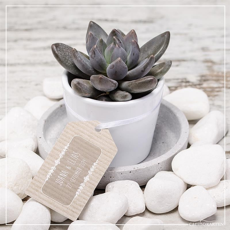 Übertopf WEIß für 6cm Sukkulenten