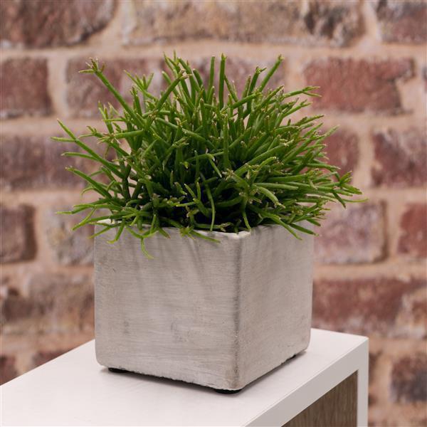 Betonübertopf eckig