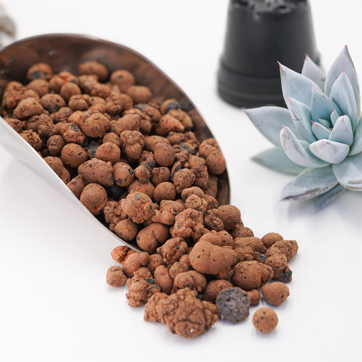 Blähton - Tongranulat (8-16mm)