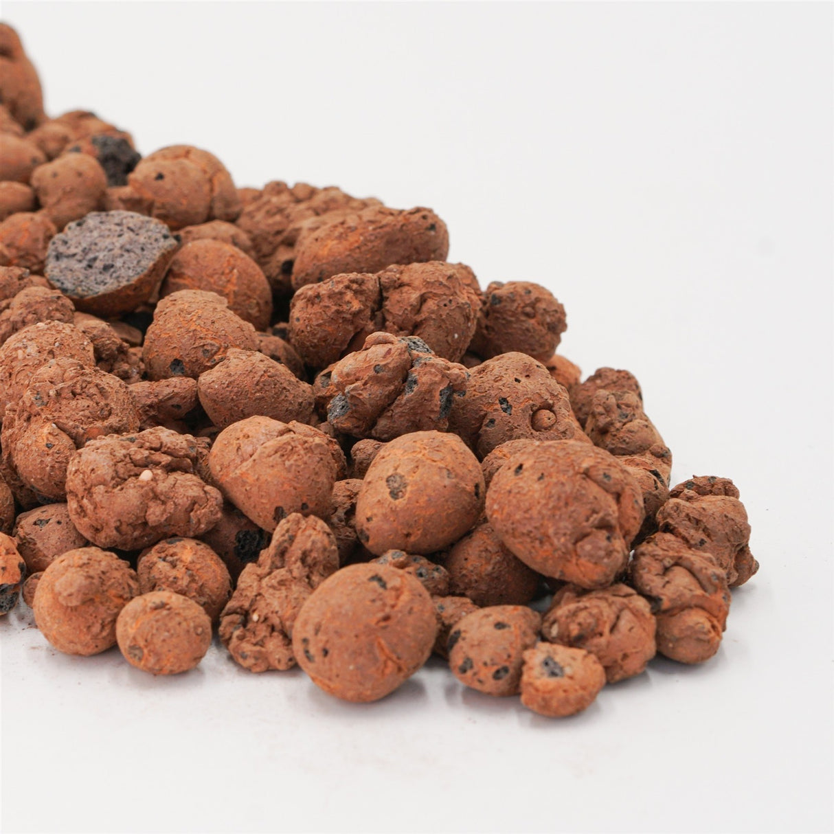 Blähton - Tongranulat (8-16mm)