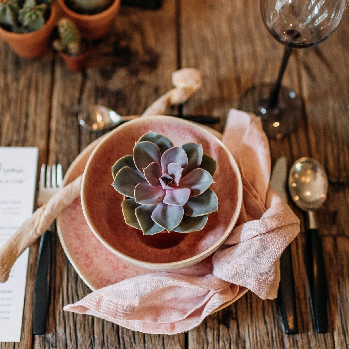 Sukkulenten Gastgeschenke zusammenstellen