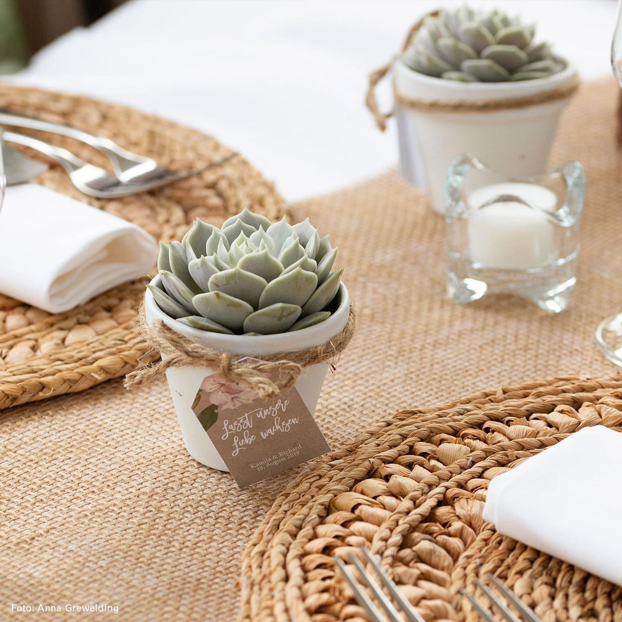 Sukkulenten Gastgeschenke zusammenstellen