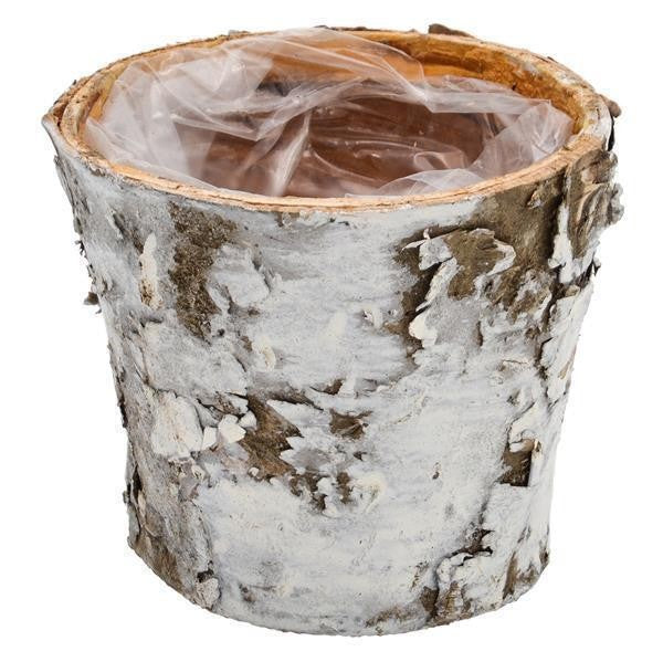 Übertopf BIRKE für 6,5cm Sukkulenten