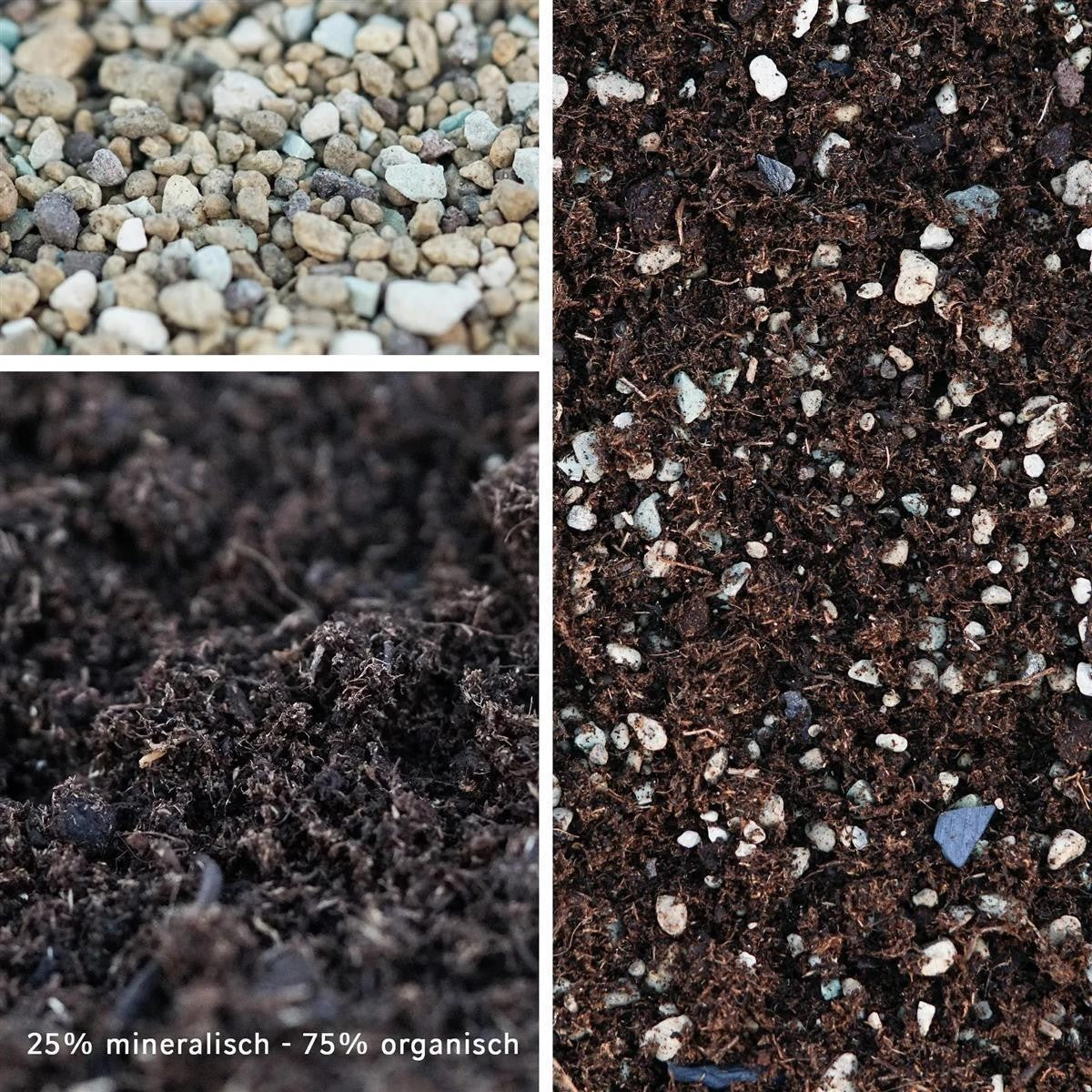Sukkulenten Spezial-Substrat (vorgemischt)
