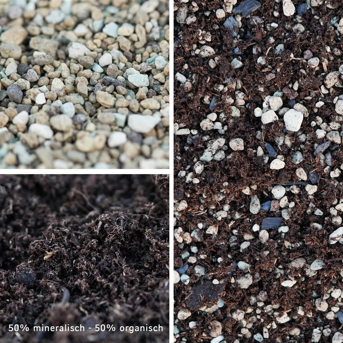 Sukkulenten Spezial-Substrat (vorgemischt)