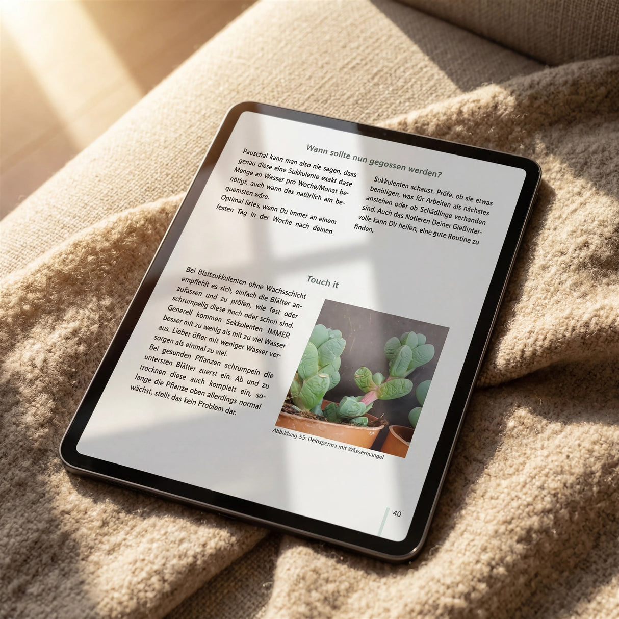 Sukkulenten richtig gießen - 60 Seiten Guide (eBook)