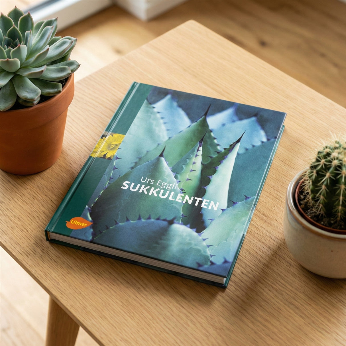 Sukkulenten - Urs Eggli
