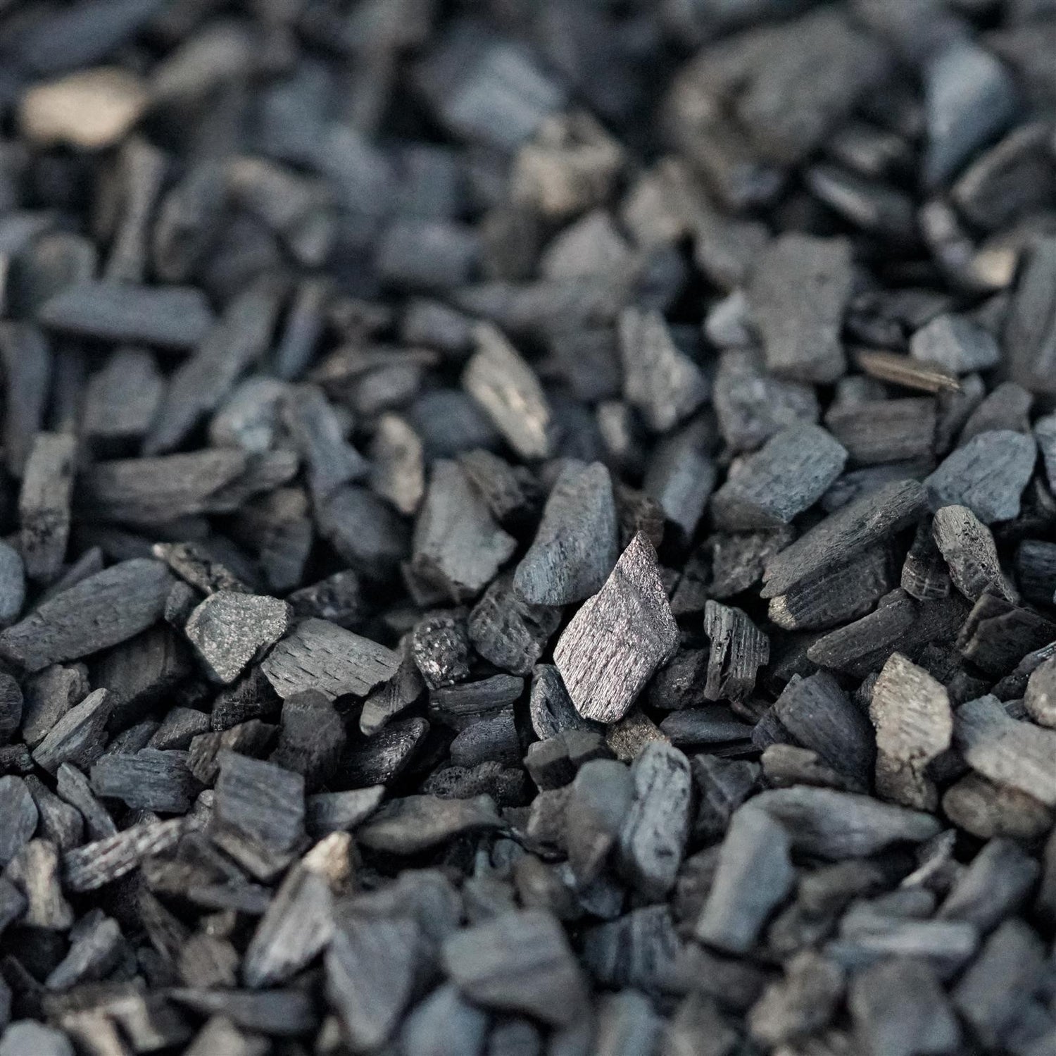 Sukkulenten Spezial-Substrat (vorgemischt)