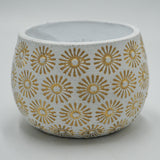 SUNNY cachepot for 8.5cm succulents