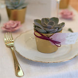 Übertopf GOLD für 6cm Sukkulenten