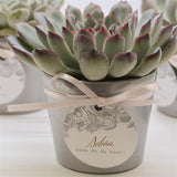 Gastgeschenk Muster