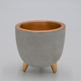 Beton Übertopf EMMA mit Füßen und Gold Akzenten für 6cm Sukkulenten