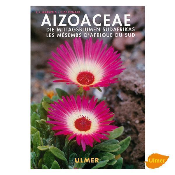 Aizoaceae