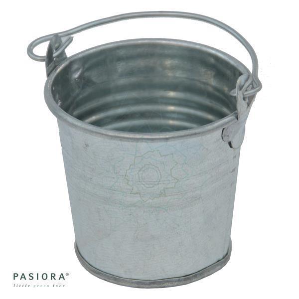 Zinkeimer SILBER für 5,5cm Sukkulenten